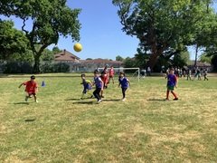 IMG_0551.JPG