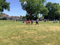 IMG_0553.JPG