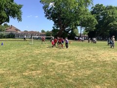 IMG_0554.JPG