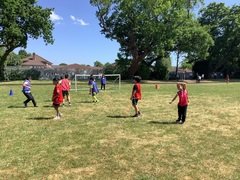 IMG_0562.JPG
