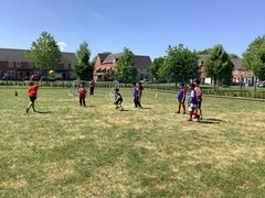 IMG_0564.JPG