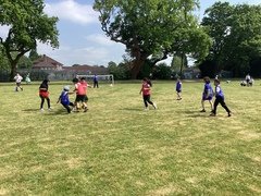 IMG_0951.JPG
