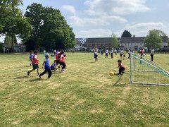 IMG_0953.JPG