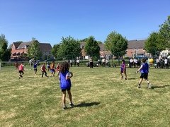 IMG_0954.JPG
