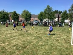 IMG_0956.JPG