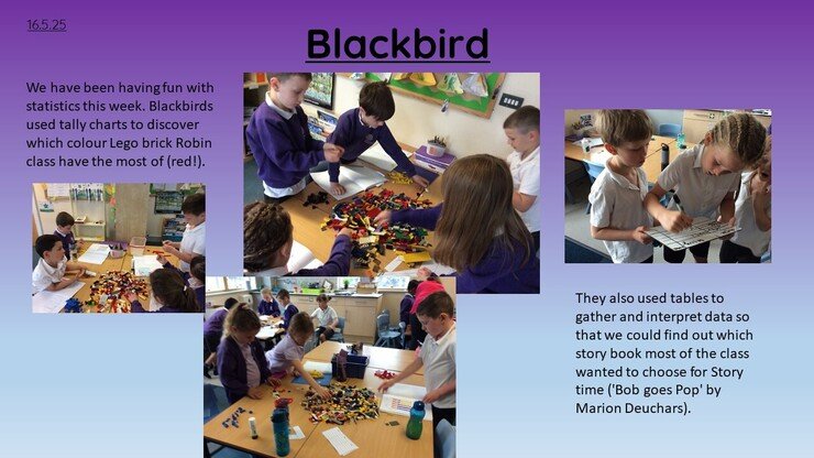 Blackbirds 16.5.25 1.jpg
