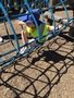 IMG_2536.jpeg