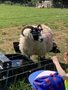 IMG_9111.jpeg