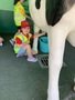 IMG_2515.jpeg