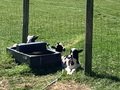 IMG_2473.jpeg