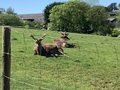IMG_2463.jpeg