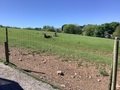 IMG_2462.jpeg