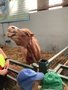 IMG_8985.jpeg