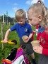 img_6_1746969059990.jpg