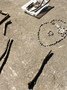IMG_6872.jpeg