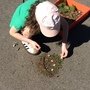 IMG_6836.jpeg