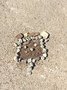 IMG_6865.jpeg