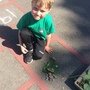 IMG_6824.jpeg