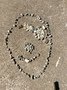 IMG_6878.jpeg
