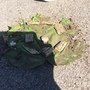 IMG_6823.jpeg