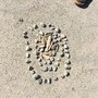 IMG_6832.jpeg