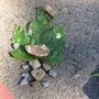 IMG_6825.jpeg