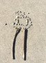 IMG_6871.jpeg