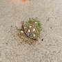 IMG_6842.jpeg