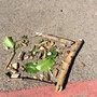 IMG_6834.jpeg