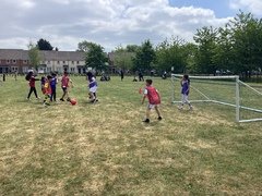 IMG_1010.JPG