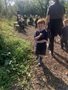 IMG_3705.jpeg