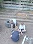 IMG_2025-05-01-13-49-01-541.jpg