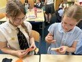 thumbnail_IMG_0885.jpg