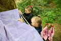 HILL_TOP_PRIMARY_REDROW_MAY2025 19.jpg