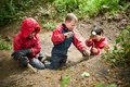 HILL_TOP_PRIMARY_REDROW_MAY2025 36.jpg