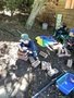 IMG_2216.jpeg
