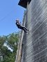 IMG_5896.jpeg