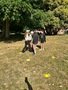 73d9c36e-4192-4db7-a740-7b0d3339f572.jpeg