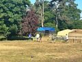 b0ebd364-ea09-4536-94e9-3e0043678828.jpeg