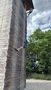 8d17bb1a-5c9a-446c-b015-af5312de4d76.jpeg