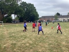 IMG_1101.JPG