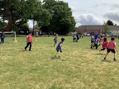 IMG_0582.JPG