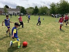 IMG_0586.JPG
