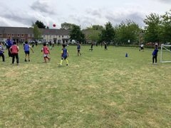 IMG_0593.JPG