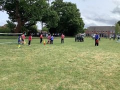 IMG_0595.JPG
