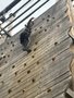 IMG_6277.jpeg