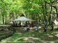 DSC05538.JPG