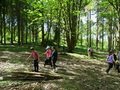DSC05557.JPG