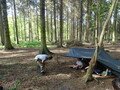 DSC05954.JPG