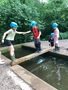 IMG_1105.jpeg